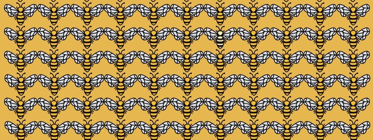 Это испытание сможет пройти только человек с безупречным зрением. Какая оса отличается от других? — Фото