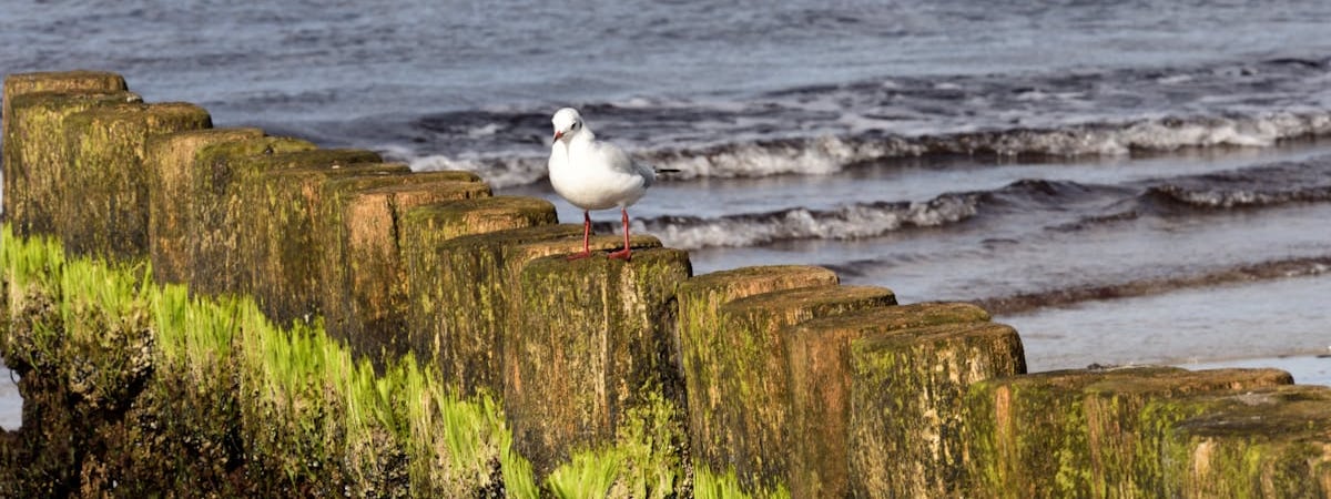 Албания не готова проводить процедуры по мигрантам для Германии