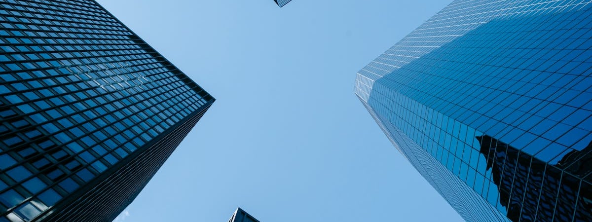 Прокуратура потребовала исключить книгу «Собаки Европы» из каталога книжного магазина Bestbooks.by