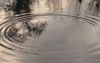 В Кобринском районе утонул 9-летний мальчик