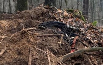 В Минске нашли останки бизнесмена, пропавшего 25 лет назад