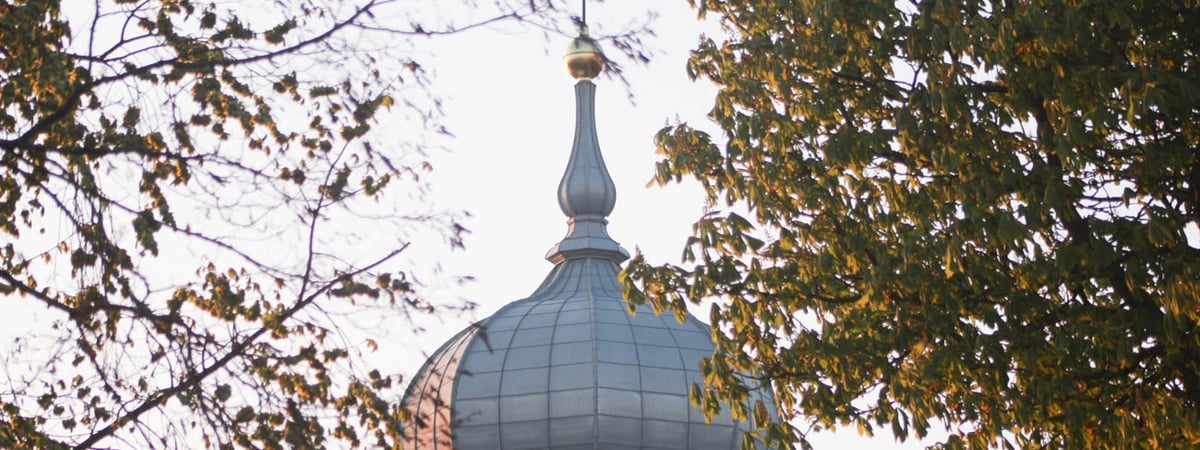 Гродно в топе! Стало известно, в какие города чаще всего заказывали билеты на автобус