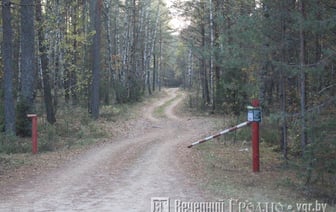 В Беларуси за год построили больше 100 км лесохозяйственных дорог