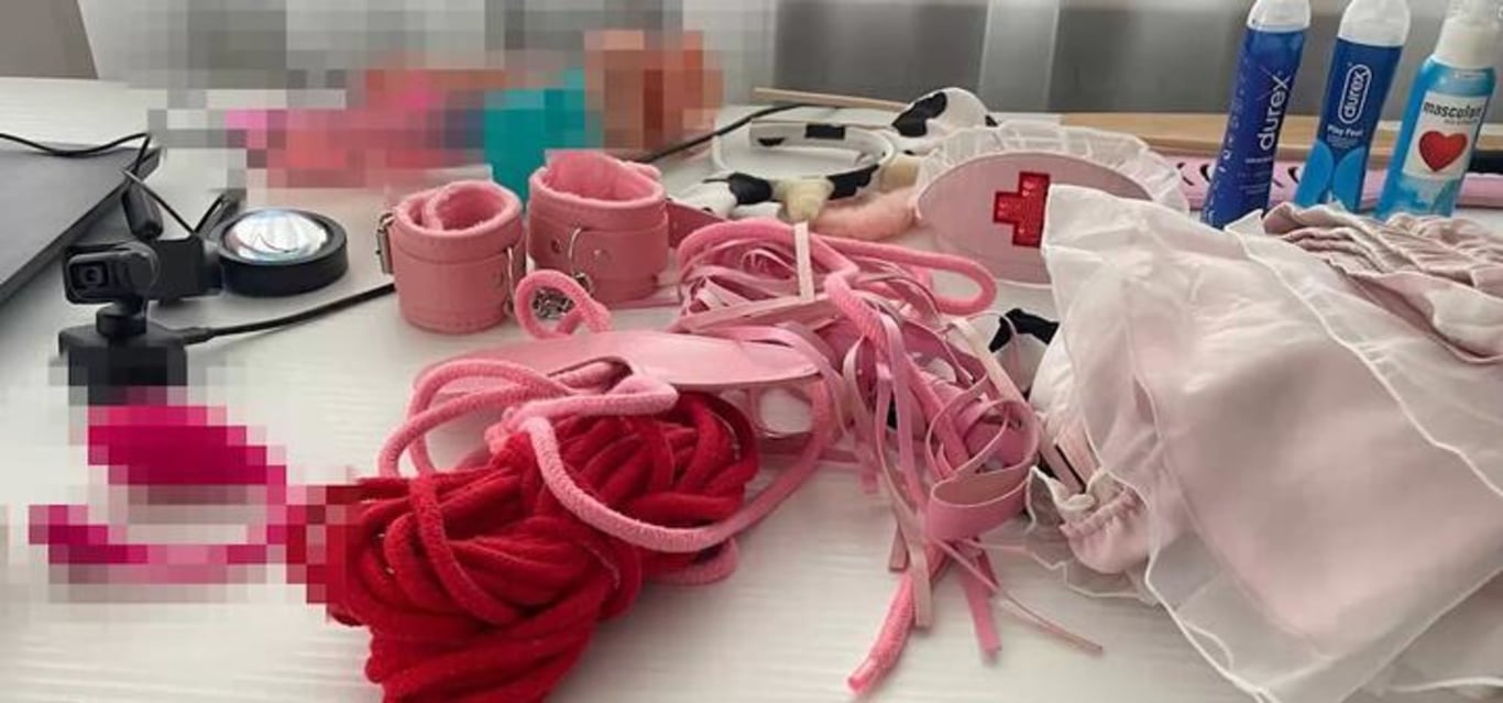 Дома у девушки изъяли осветительное оборудование, компьютерную технику, носители информации и тематический реквизит. Скриншот видео ГУВД Мингорисполкома