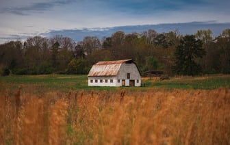 В Грузии продолжают протестовать против результатов выборов