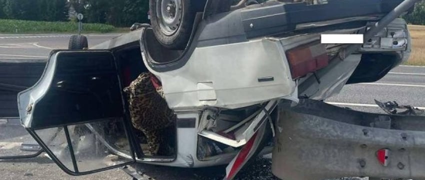 Возле Лиды произошло жуткое ДТП: два человека погибли
