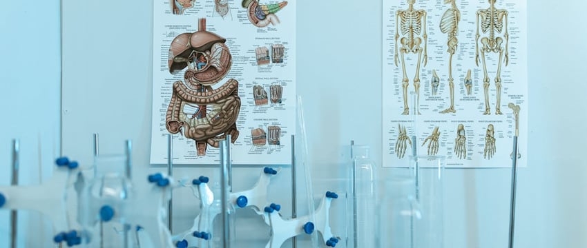 Новополоцкая фирма «Солид» подарила ХК «Химик» аппарат «Криосауна»