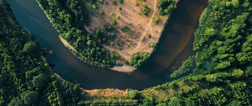 Опубликован рейтинг самых зеленых городов Беларуси. Есть ли там Полоцк?