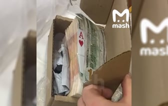 Продавец Wildberries случайно отправила покупателю свои 21,7 тыс. долларов и слиток серебра. Что было дальше?