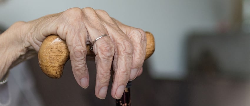 Витебский облисполком поднял тарифы на услуги домов-престарелых и сиделок