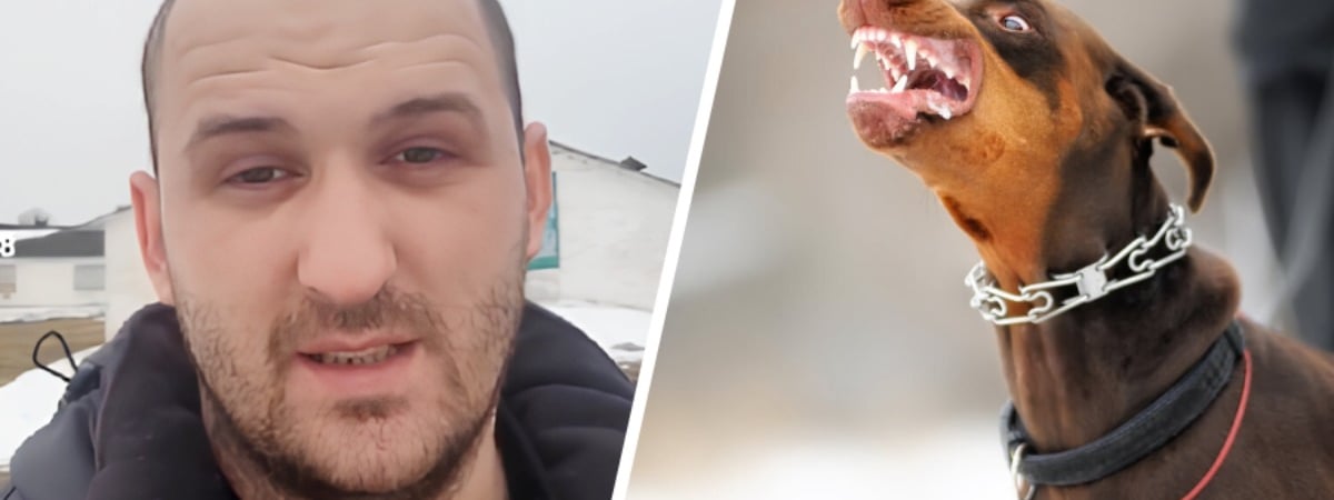 «Процентов 80 просто монстры» — Кинолог назвал 5 пород собак, которых не стоит заводить в Беларуси — Полезно