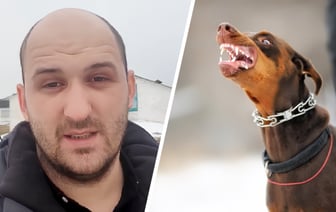 «Процентов 80 просто монстры» — Кинолог назвал 5 пород собак, которых не стоит заводить в Беларуси — Полезно