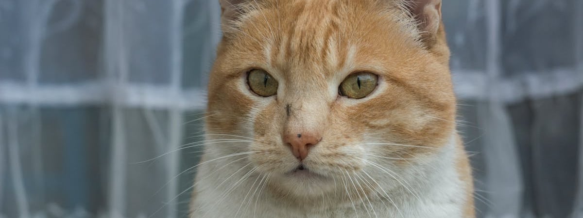 В Минэкономики утверждают, что санируемые предприятия Гомельской области работают с прибылью