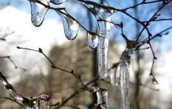 На календаре зима, а на термометре весна. Какой будет погода на текущей неделе