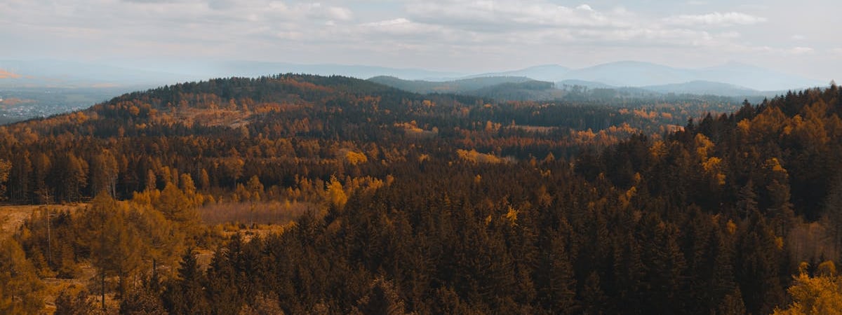 В Беларуси анонсировали брифинг с международным участием по ситуации на границе с Польшей