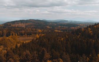 В Беларуси анонсировали брифинг с международным участием по ситуации на границе с Польшей