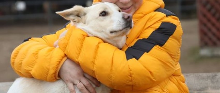 «Списали на мясо, а мы выкупили». Фермеры из Беларуси собрали мини-зоопарк спасенных животных