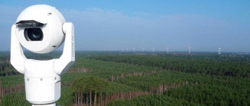 Белорусские леса полностью покрыли системой обнаружения пожаров