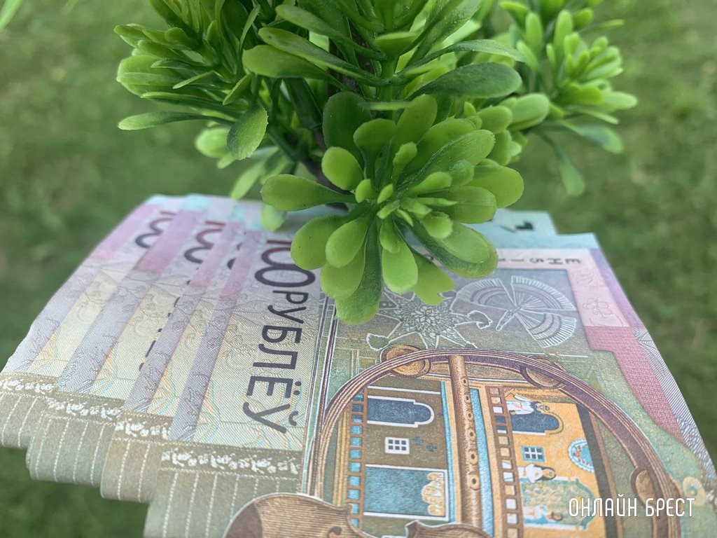 Фото носит иллюстративный характер