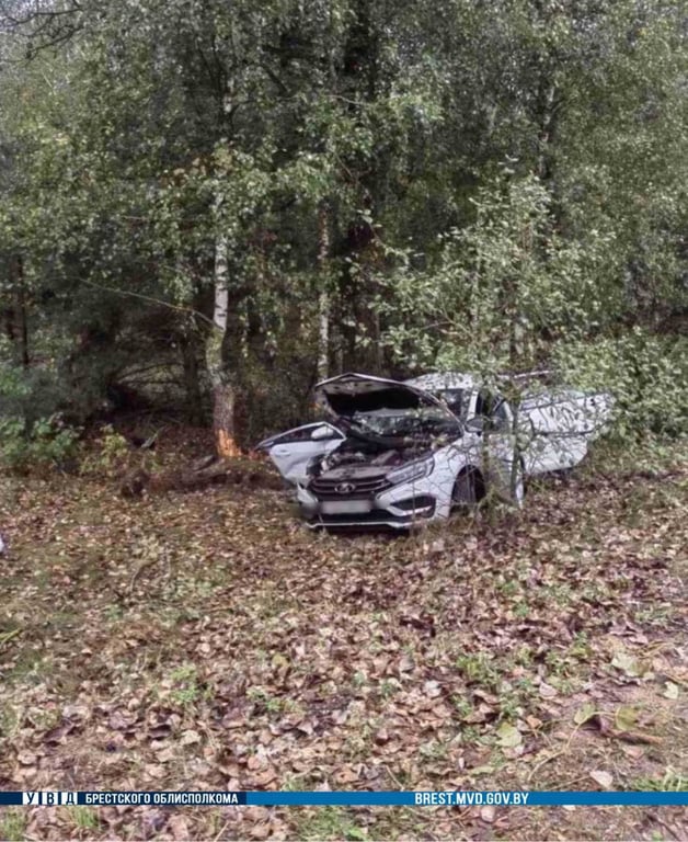 Пассажир погиб, водитель госпитализирован. В Малоритском районе произошло смертельное ДТП