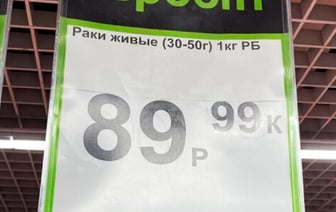 Речные раки из Беларуси стоят дороже, чем морские креветки. Почему?