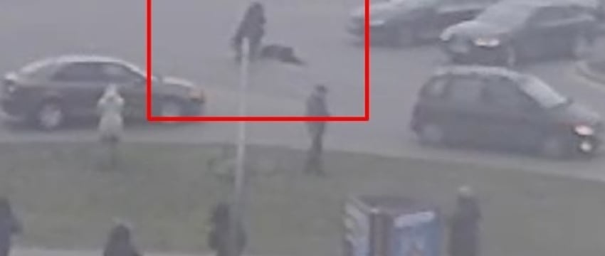 В Пинске автомобиль сбил пешехода. Жесткое видео