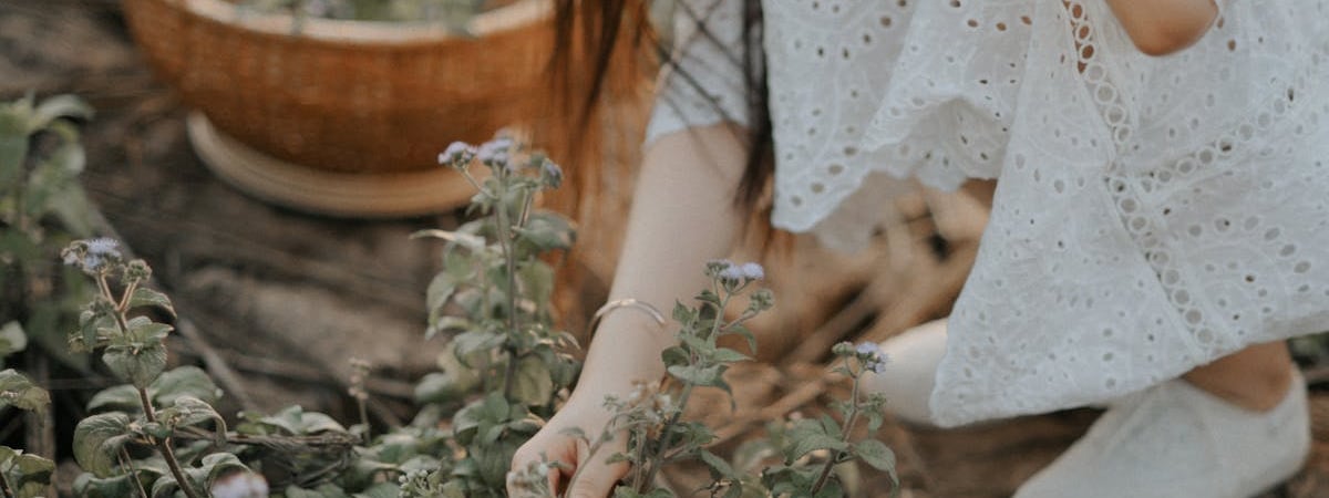 В Шри-Ланке с начала года зафиксировано более 40 тыс. случаев заболевания лихорадкой денге