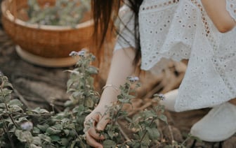 В Шри-Ланке с начала года зафиксировано более 40 тыс. случаев заболевания лихорадкой денге