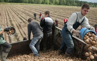 Всемирный банк: доходы населения Беларуси выше среднего