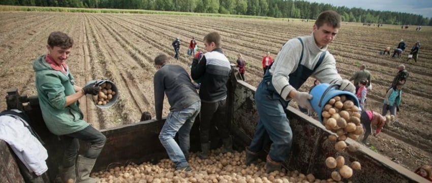 Всемирный банк: доходы населения Беларуси выше среднего
