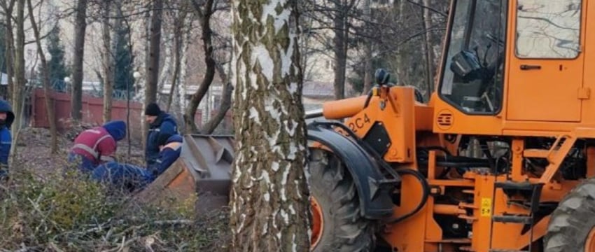 Скоро здесь все изменится! В Бресте в сквере по ул. Папанина начались работы