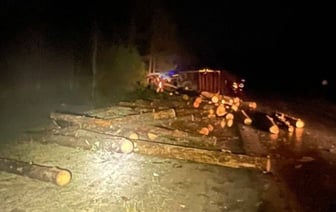 Суд Ганцевичского района вынес приговор по смертельному ДТП с участием груженого лесовоза