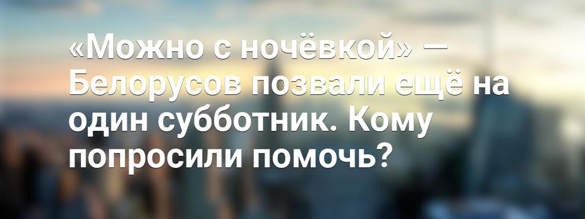 Помощь в строительстве будущего центра по спасению животных