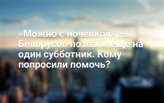 Помощь в строительстве будущего центра по спасению животных