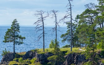 Тихановская: Беларусь будет частью глобальной экономики, а не российской