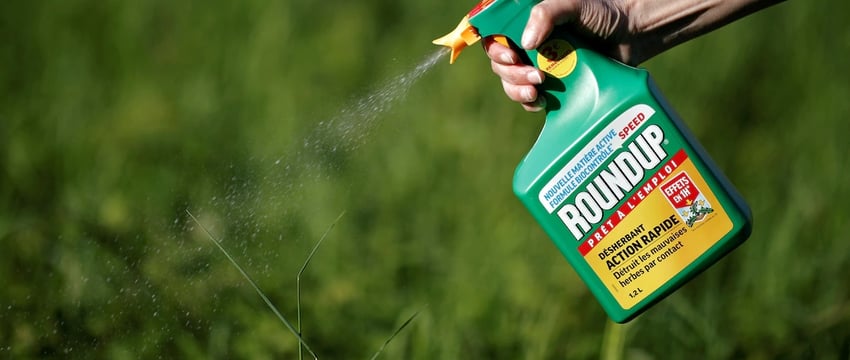 Может ли средство от сорняков компании Bayer вызывать рак крови? Какое решение принял Австралийский суд?