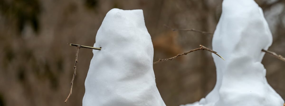 ЕС одобрил приглашение Швейцарии в "военный Шенген"