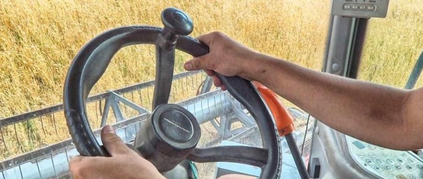Лукашенко разрешил получать водительские права с 17 лет