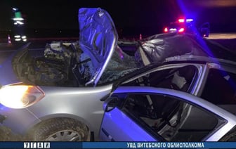 Водитель легковушки погиб, врезавшись в лося. ДТП произошло в Оршанском районе