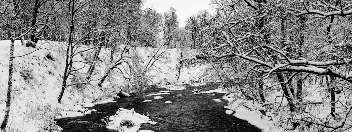 Продажи Tesla в Европе упали, спрос на электромобили Volkswagen и BMW вырос