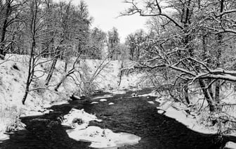 Продажи Tesla в Европе упали, спрос на электромобили Volkswagen и BMW вырос