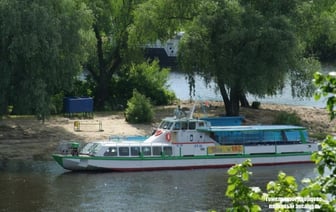 В Гомеле чиновники предложили запустить паромную переправу на пляж