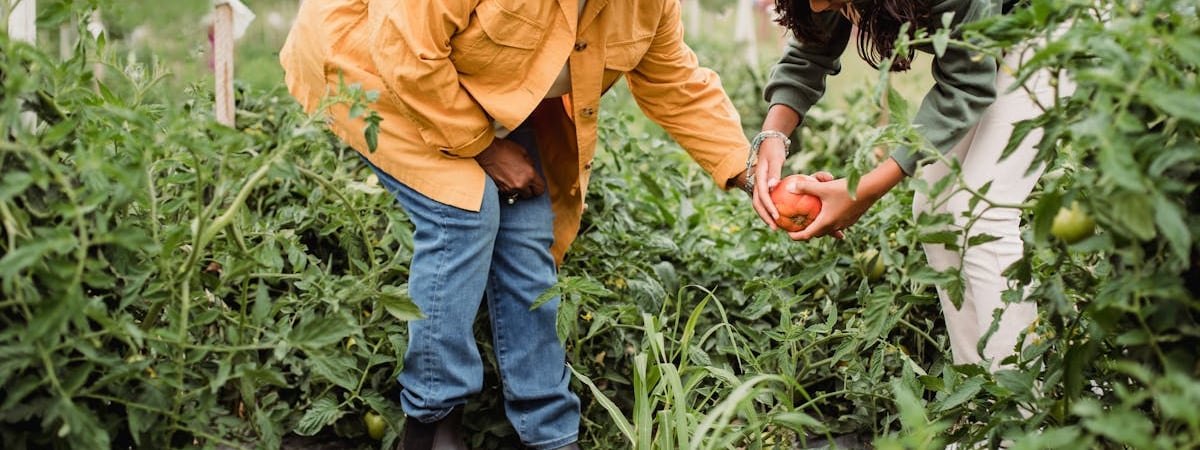 Производство сельхозпродукции в Беларуси в январе-марте 2024 года увеличилось на 6,8%