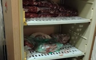 Разделал тушу лося и расфасовал в холодильнике: белорусу грозит до 4-х лет