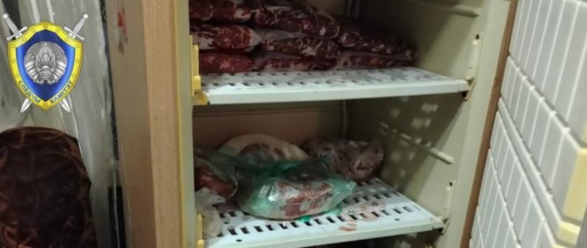 Разделал тушу лося и расфасовал в холодильнике: белорусу грозит до 4-х лет