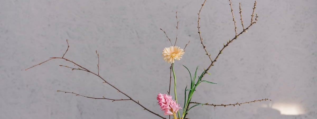 В Беларуси утвердили порядок открытия и прекращения деятельности филиалов иностранных банков