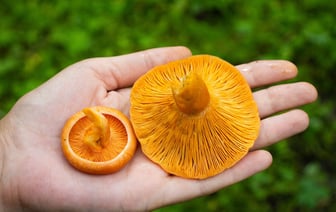 Россия задолжала Эстонии почти €1,5 млн за использование воздушного пространства