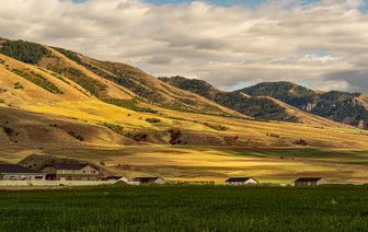 Сколько домов построят в 2025 году в Полоцке и Новополоцке?