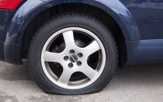 Наказание за обмазывание авто фекалиями кота