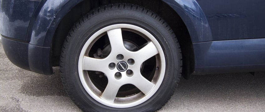 Наказание за обмазывание авто фекалиями кота